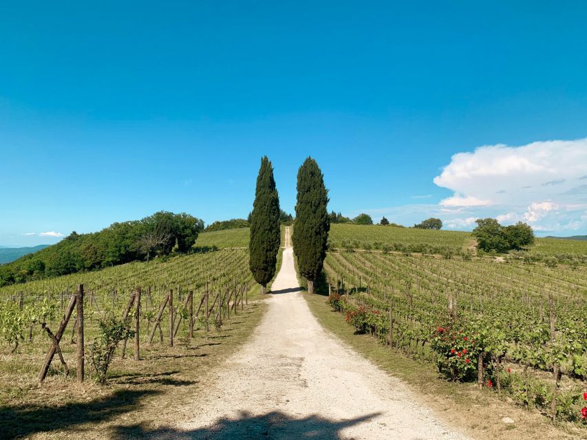 From Florence: Private Chianti Hills Tour with Tasting - Second tasting plus slow-food style pairings