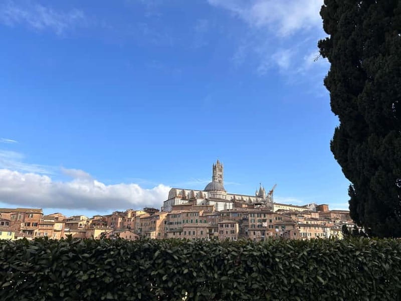 From Florence: San Gimignano, Siena, and Chianti Wine Tour - Siena’s medieval center, Piazza del Campo, and what you should prioritize