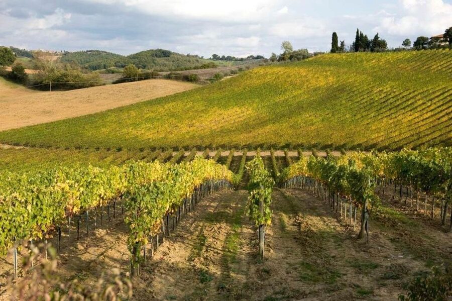 From Florence: Siena & San Gimignano Tour with Wine & Lunch - Organic Winery Lunch and Four-Wine Tastings: Good Food, Better Context