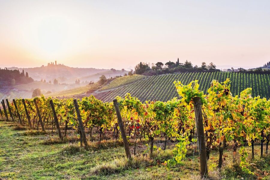 From Florence: Siena & San Gimignano Tour with Wine & Lunch - How Long It Really Feels: A Full Day With Built-In Pace
