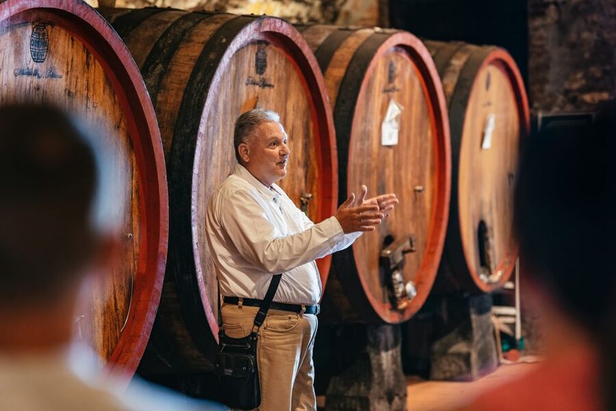 From Florence: Small Group Wine Tasting Tour to Tuscany - Price and value check: what $105 buys you in practice