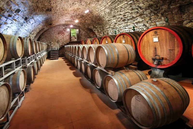 From Florence: Tuscany Wine & Food Tour with Guide - Key Highlights Worth Your Attention