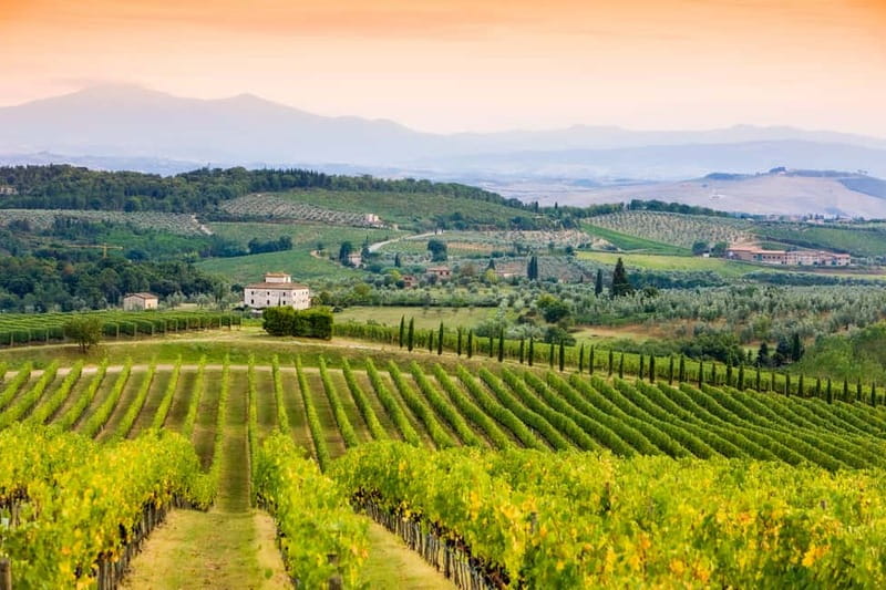 From Florence: Tuscany Wine & Food Tour with Guide - Guides and Drivers: Why the Day Feels Fun, Not Just Educational