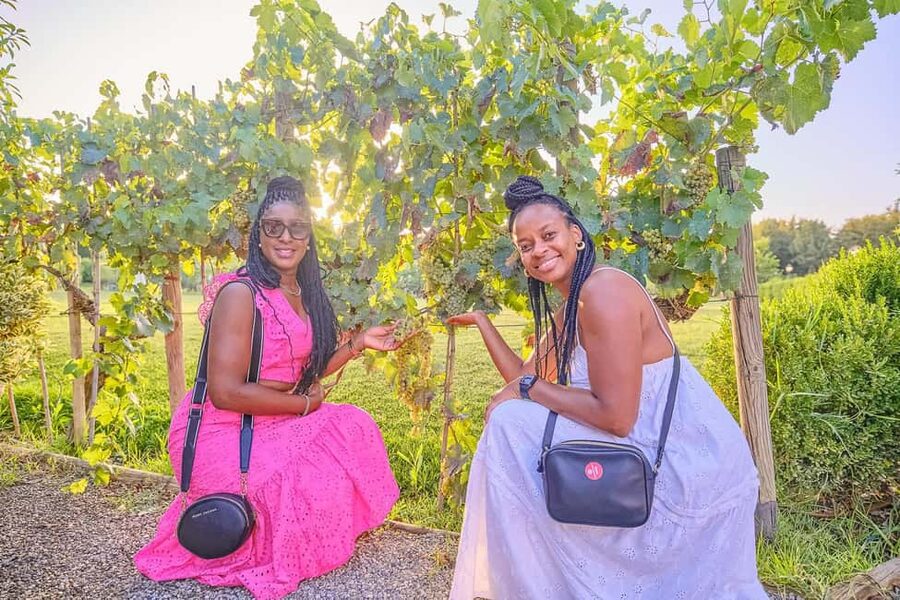 From Florence: Wine Tasting and Dinner in Chianti Vineyards - Why the Chianti format works: learning without feeling like a lecture