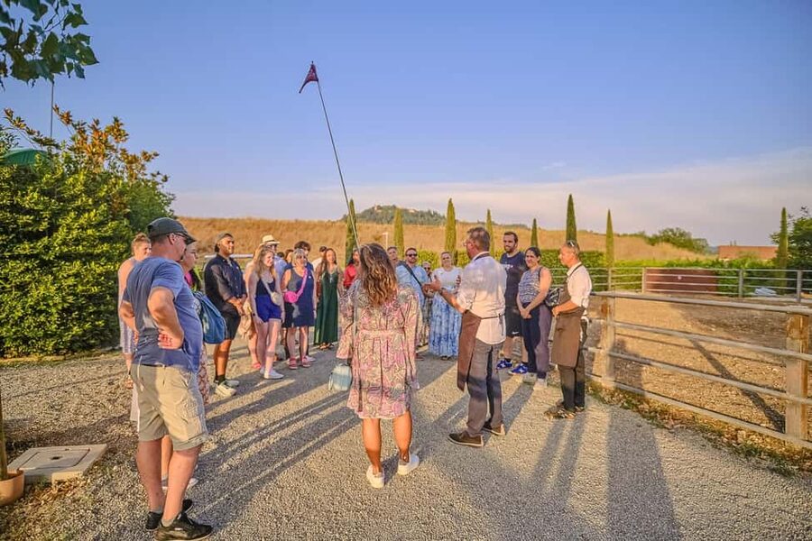 From Florence: Wine Tasting and Dinner in Chianti Vineyards - Value check: is $141 worth it for what you actually get?