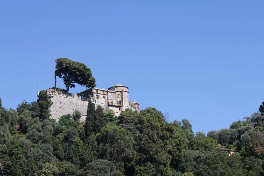 From Genoa: Boat Tour to Portofino with Free Time to Explore - Weather and sea conditions: the day can change