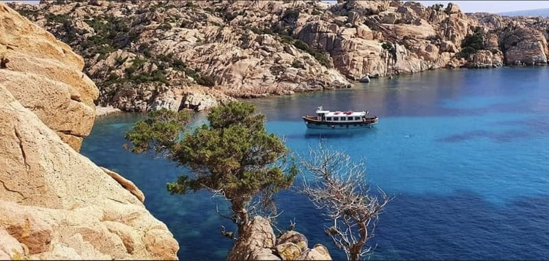 From La Maddalena or Palau: Archipelago Boat Tour - Caprera Bridge Views and the First Real Swim Break