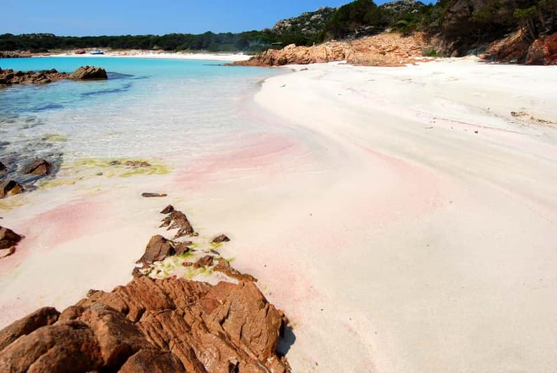 From La Maddalena or Palau: Archipelago Boat Tour - Candeo Fortress Free Time: Walk, Take Photos, Then Cool Off