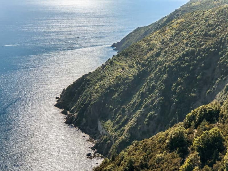 From La Spezia: Cinque Terre Boat Tour - Key highlights to expect from this Cinque Terre boat tour