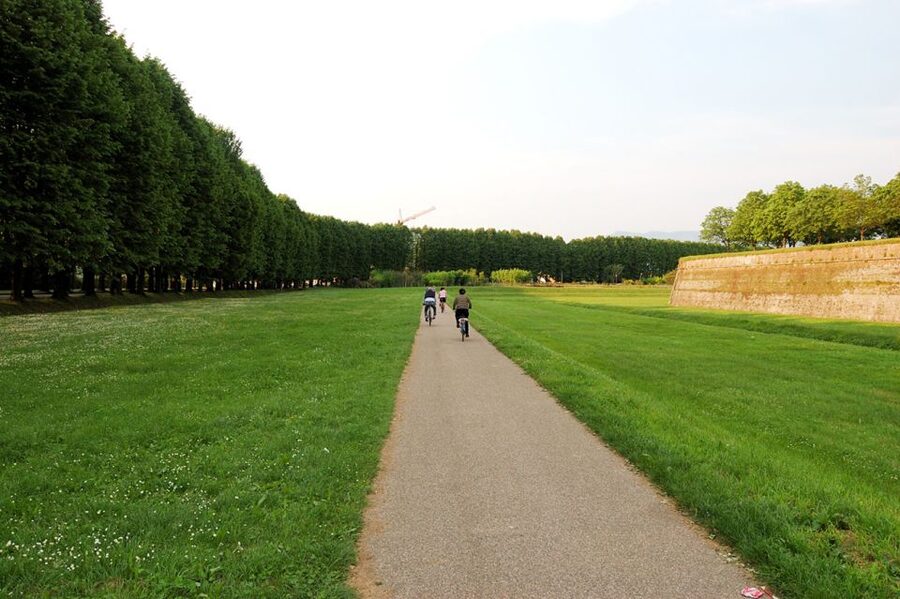 From Lucca to Pisa: Self-Guided Bike Tour - Why Lucca to Pisa by bike hits different