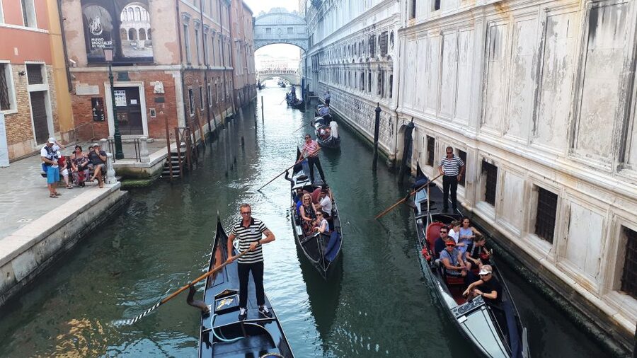 From Milan: Venice City Highlights Guided Day Trip - Key highlights that make this tour worth your time