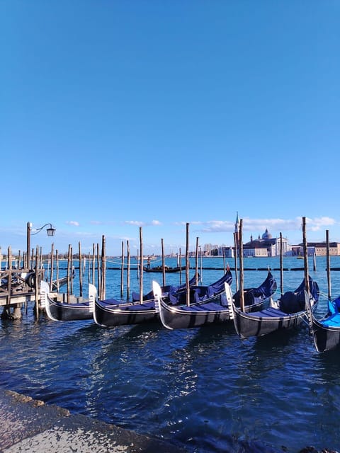 From Milan: Venice City Highlights Guided Day Trip - St Mark’s Square and the Basilica façade: the tour you take before you wander