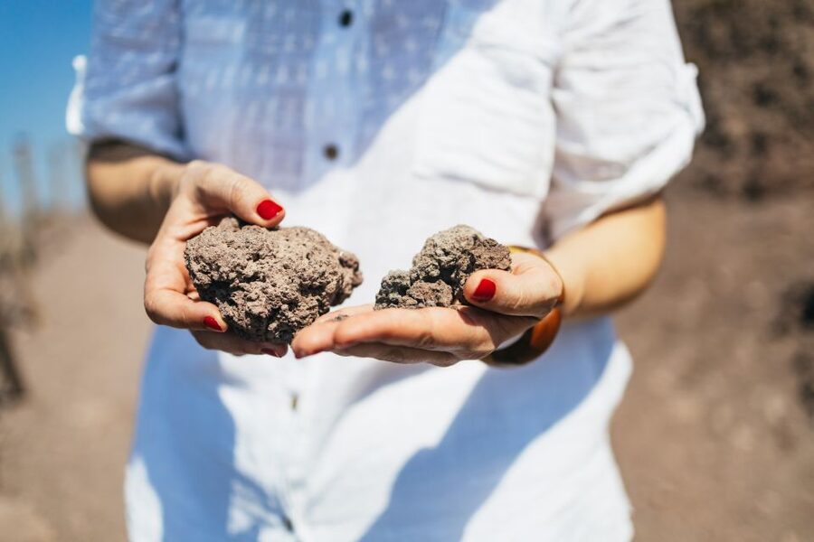 From Naples: All-Inclusive Mount Vesuvius Half-Day Tour - On-mountain practicals: shoes, toilets, coffee stops, and souvenirs