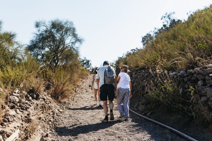 From Naples: All-Inclusive Mount Vesuvius Half-Day Tour - Weather, wind, and how to plan for cloud cover