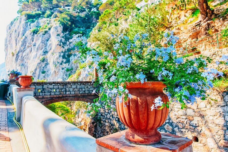 From Naples: Capri and Blue Grotto Day Tour - Meeting at Molo Beverello, and why it matters