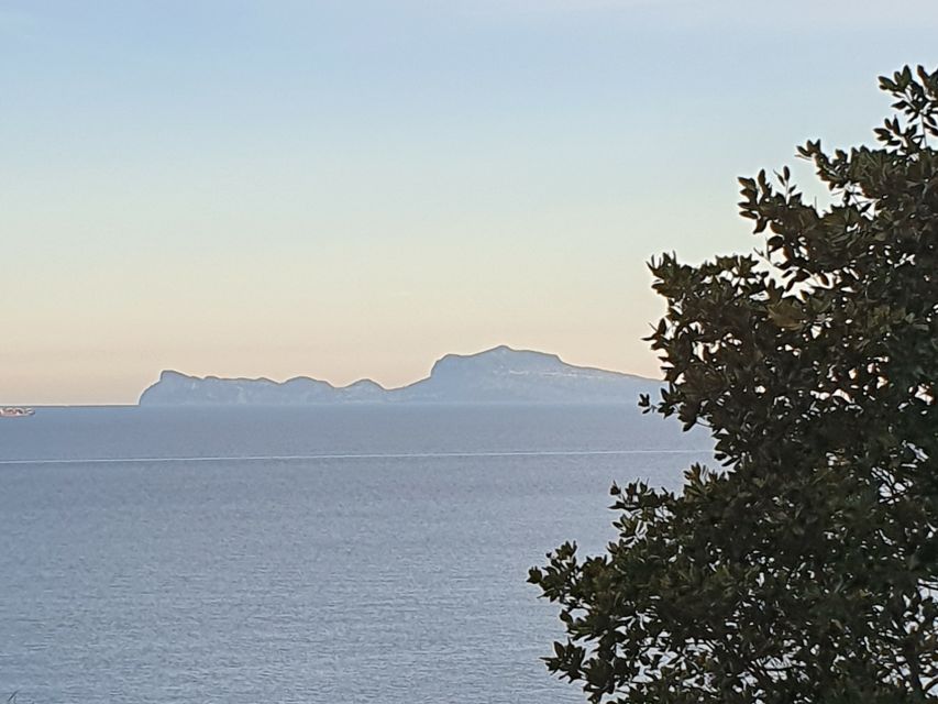 From Naples: Capri Day Trip with Lunch - Getting to Capri fast: Naples hydrofoil to the island