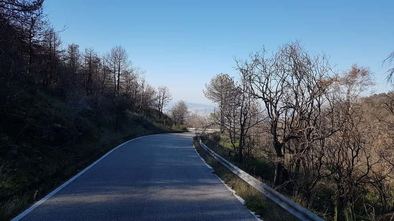 From Naples: Day Trip to Mount Vesuvius - Logistics Details That Can Save Your Day