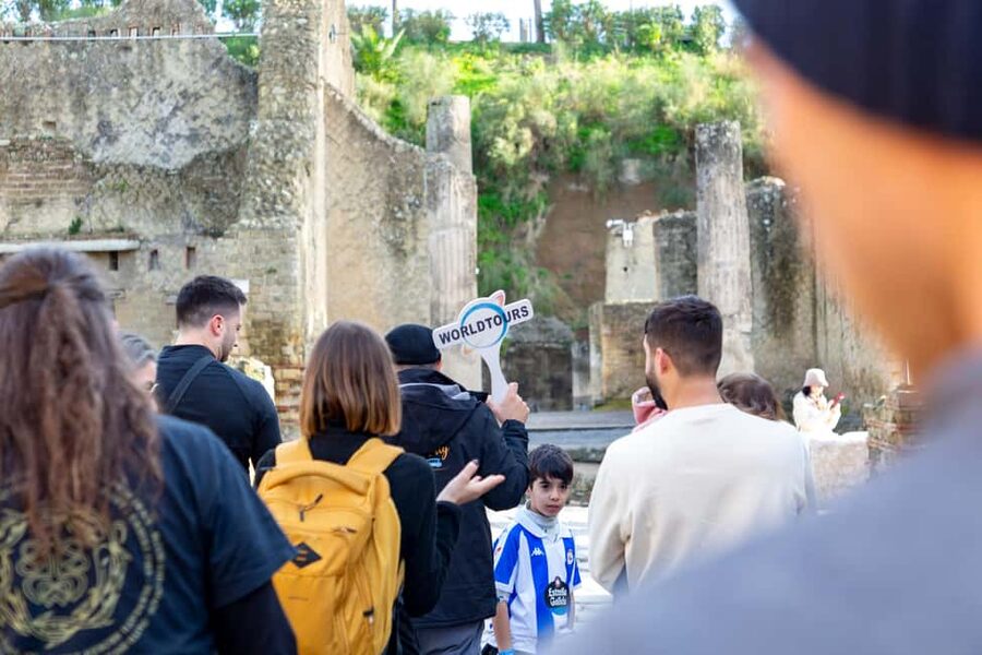 From Naples: Herculaneum Skip-the-Line Guided Tour - Key highlights worth centering on