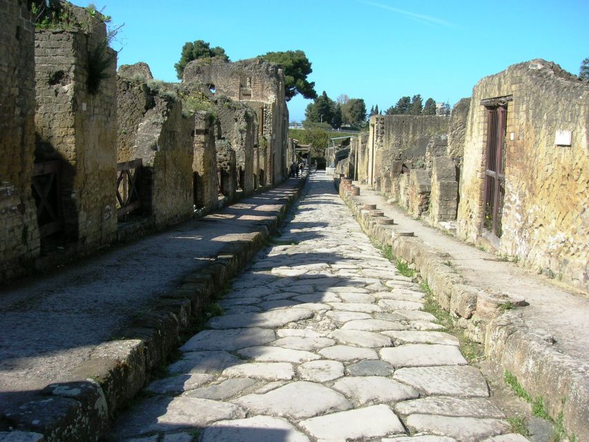 From Naples: Herculaneum Skip-the-Line Guided Tour - Is this tour right for you? A simple decision checklist