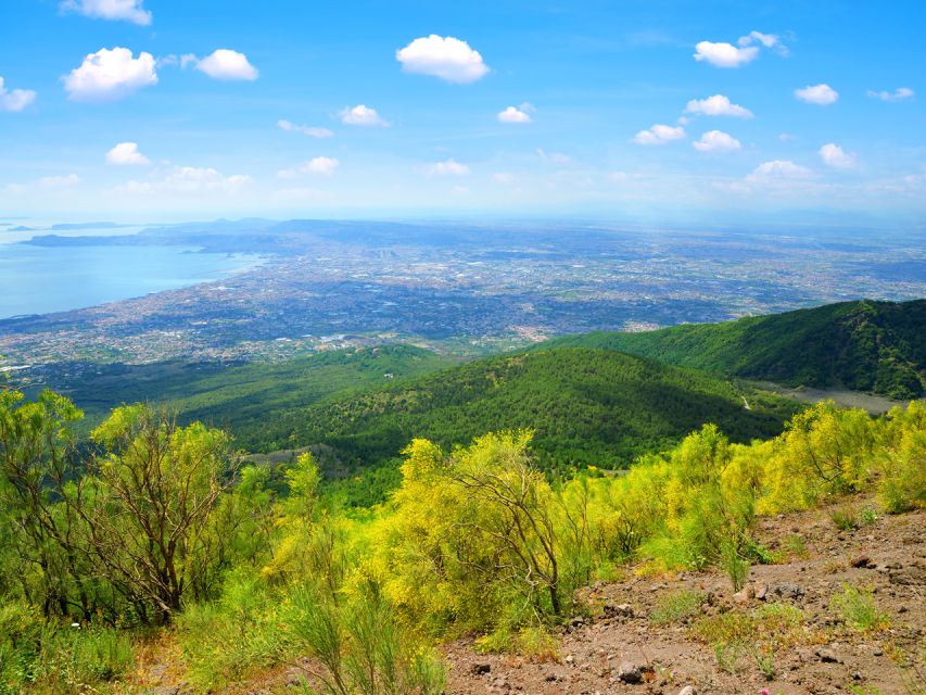 From Naples: Mount Vesuvius and Pompeii Ruins Combo Day Trip - Pompeii Archaeological Park: audio guide pacing in a huge site