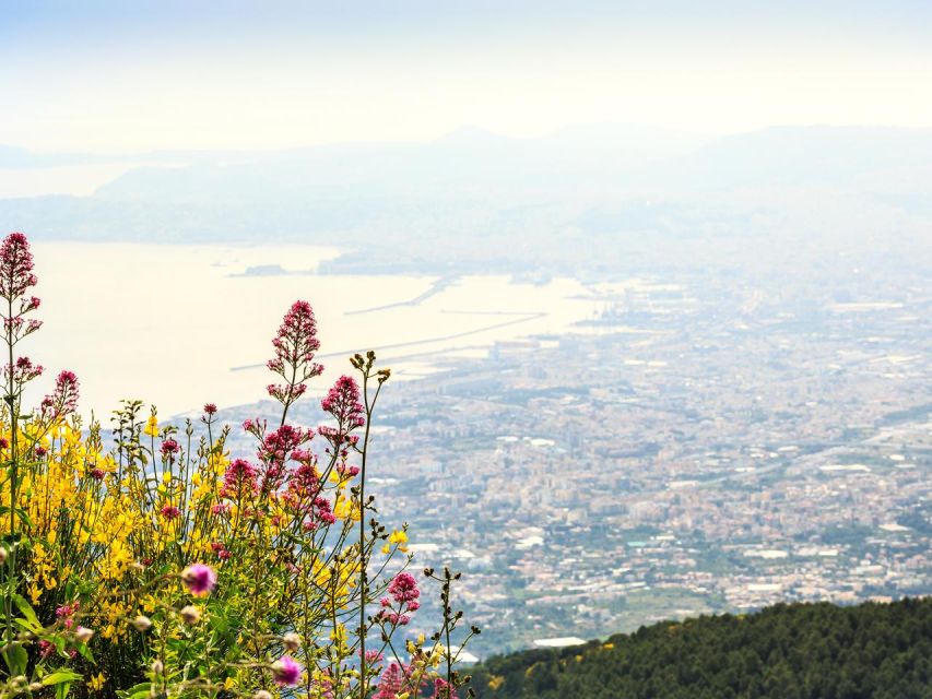 From Naples: Mount Vesuvius Transfer with Entry Tickets - Dropped in the National Park, Then the Real Climb Begins