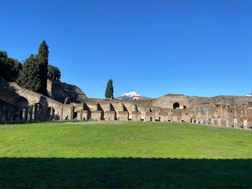 From Naples or Sorrento: Pompei Half-Day Tour - Markets, workshops, arena, and the Lupanar area
