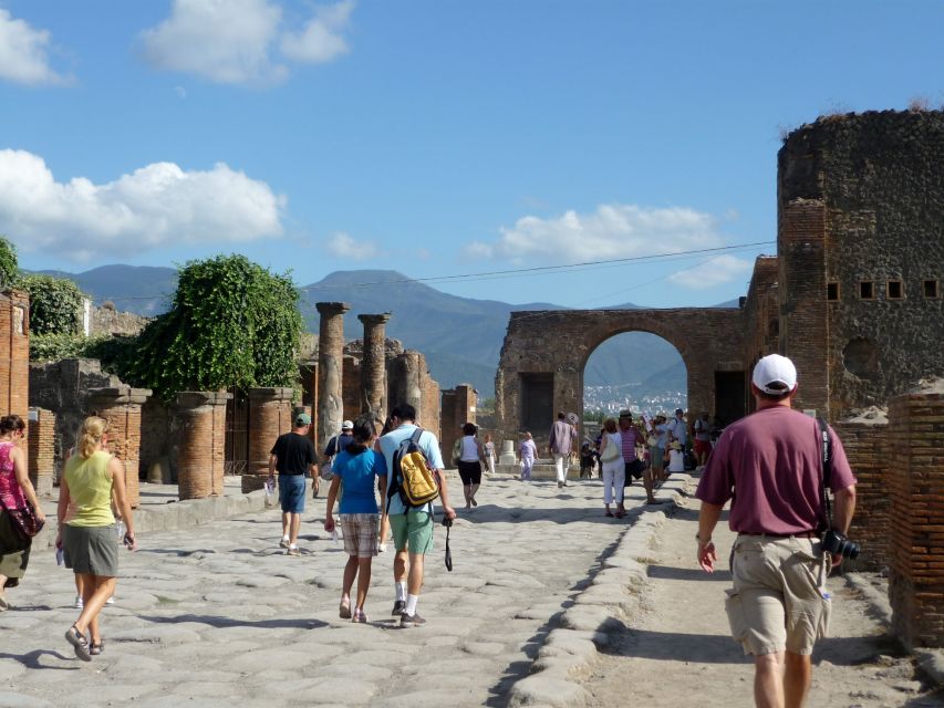 From Naples: Pompeii and Amalfi Coast Full-Day Private Tour - Driver and guide quality: the difference between seeing and understanding