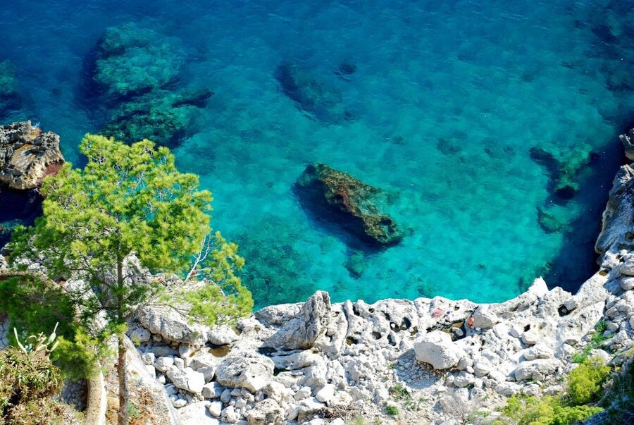 From Naples: Pompeii and Amalfi Coast Full-Day Private Tour - Who this private day is best for