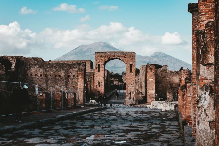 From Naples: Pompeii and Herculaneum Tour with Lunch - Who This Tour Suits Best