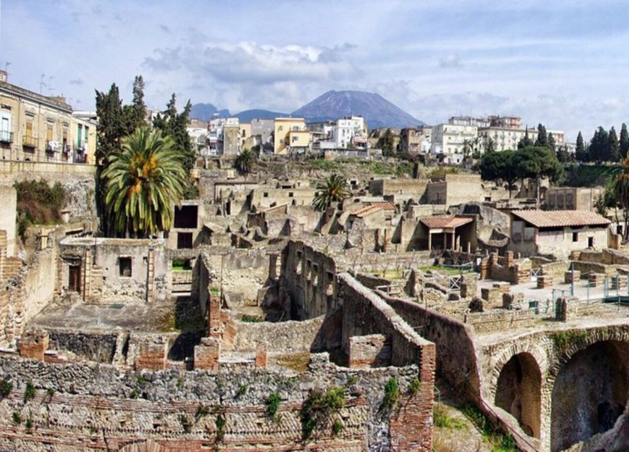 From Naples: Pompeii and Herculaneum VIP Tour with Lunch - Transport from Naples: onboard commentary and door-to-door convenience
