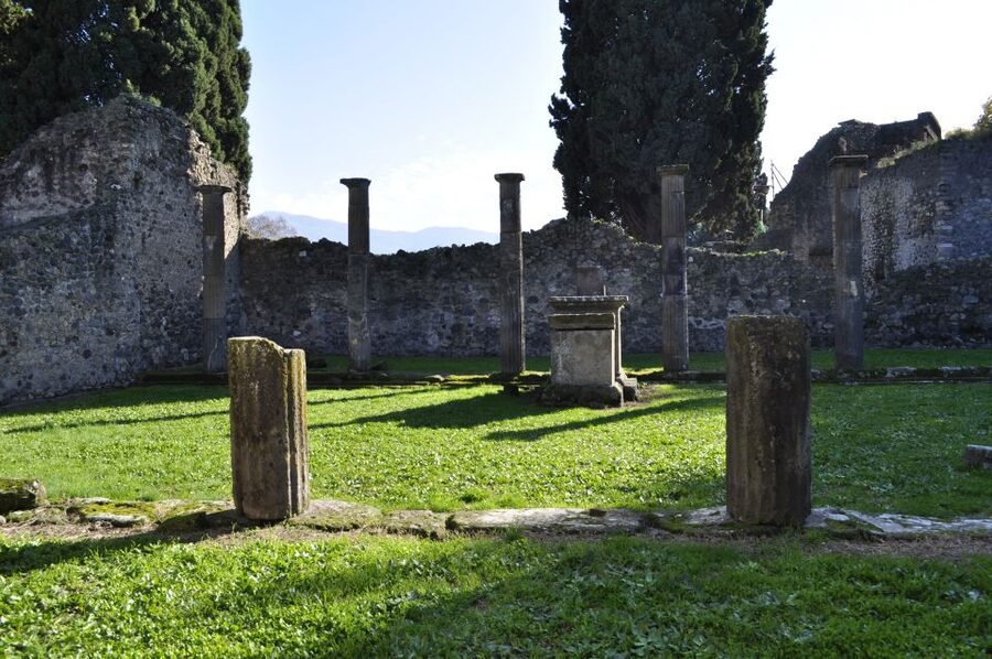 From Naples: Pompeii and Wine Tasting Tour with Lunch - Should you book this Pompeii and Vesuvius wine tour?