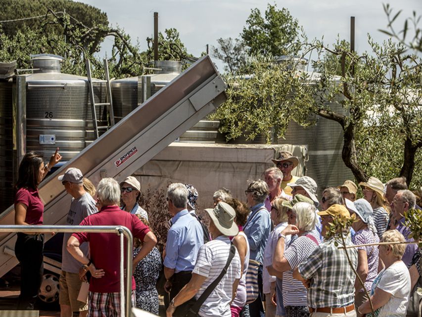 From Naples: Pompeii and Wine Tasting Tour with Lunch - Morning pickup: where the time goes and how to stay relaxed