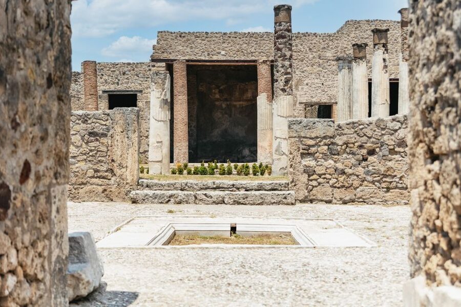 From Naples: Pompeii Ruins & Mount Vesuvius Day Tour - Timing and pacing: where the tour works, and where you might want more time