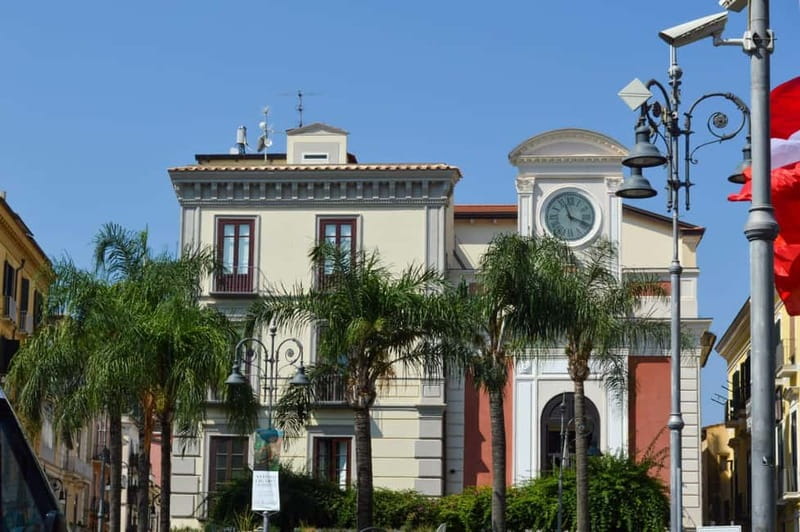 From Naples/Salerno: Pompeii, Sorrento, and Positano Tour - Comfort, timing, and the driver-host style that makes it click