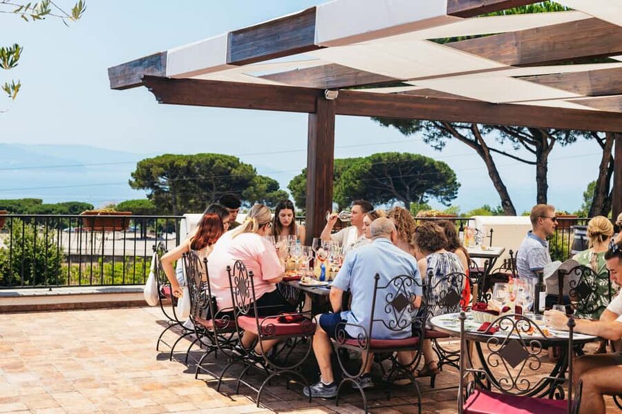 From Naples: Wine Tasting Tour on Vesuvius Slopes with Lunch - From Naples to the slopes: the vineyard area and what the guided walk delivers