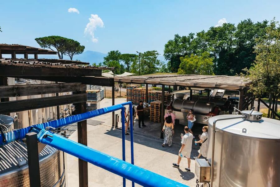From Naples: Wine Tasting Tour on Vesuvius Slopes with Lunch - The wines you’ll taste: Falanghina, Lacryma Christi, Aglianico, and friends