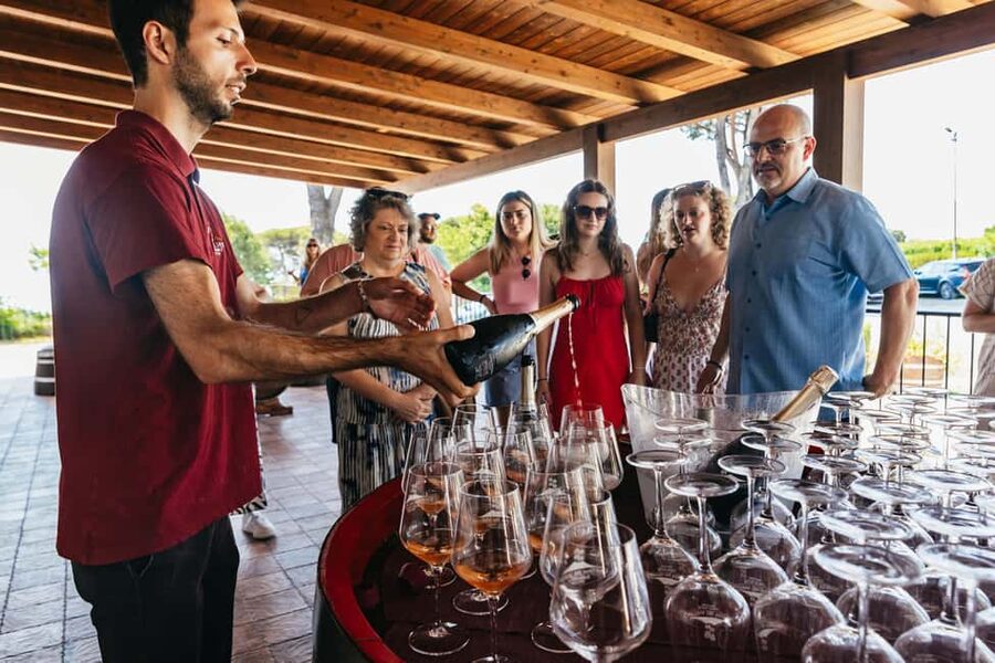 From Naples: Wine Tasting Tour on Vesuvius Slopes with Lunch - Who this Vesuvius wine day fits best, and who should skip it