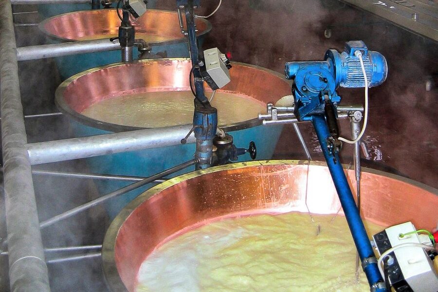 From Parma: Parmesan, Parma Ham & Balsamic Vinegar Tour - Parmigiano-Reggiano dairy: from careful steps to 5000 wheels