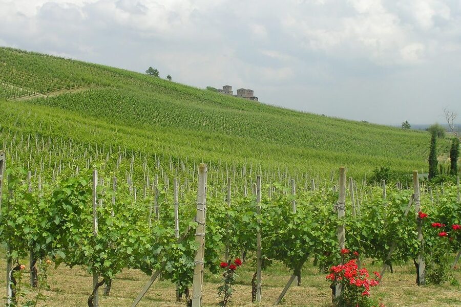 From Parma: Parmesan, Parma Ham & Balsamic Vinegar Tour - Should you book the Parma Parmesan, Ham, and Balsamic tour?