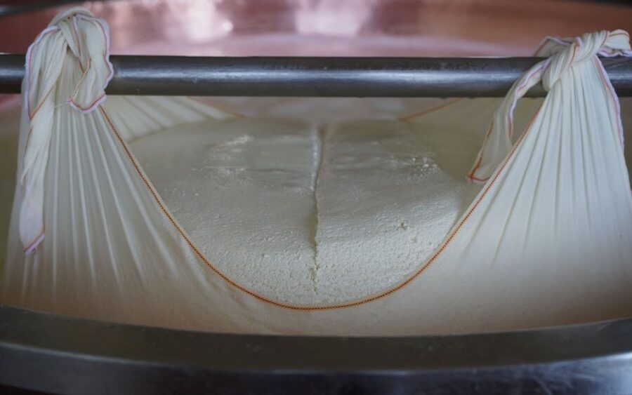 From Parma: Parmigiano and Parma Ham Guided Food Tour - Key highlights to look for