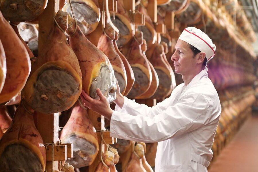 From Parma: Parmigiano and Parma Ham Guided Food Tour - Inside a Parmigiano Reggiano caseificio, from whey to wheel