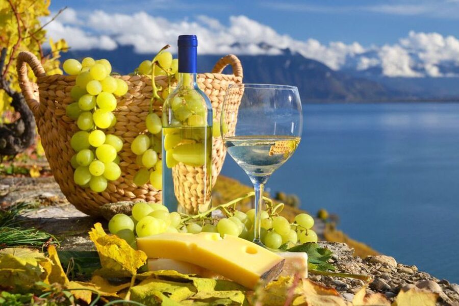 From Pisa: Cinque Terre Small Group Tour - Monterosso al Mare: Lemon Trees, Terraced Slopes, and Coastal Walking Views