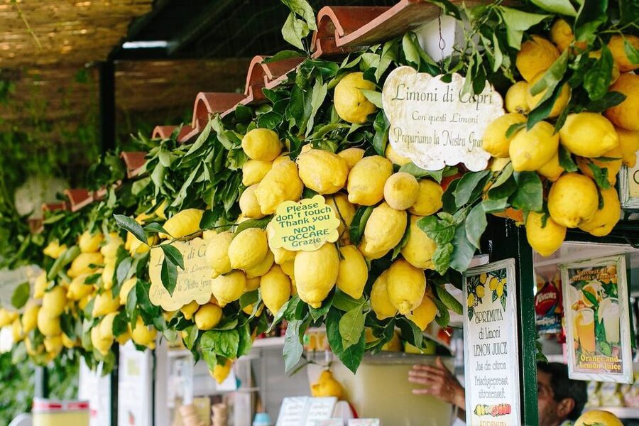 From Positano: Sorrento Coast & Capri Full-Day Trip by Boat - Arco Naturale, Casa Malaparte, and the Faraglioni photo run
