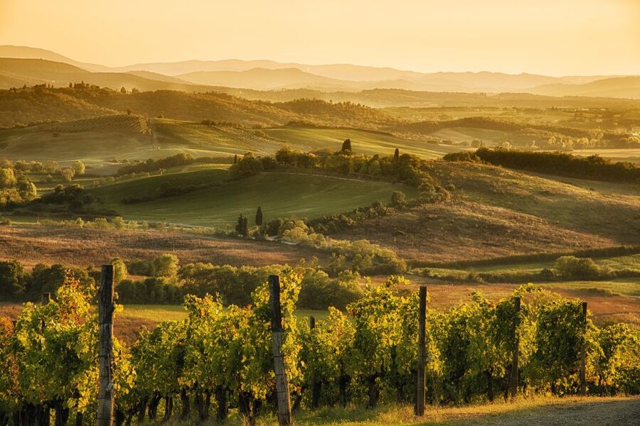 From Rome: Discover Florence and Pisa in a Full-Day Tour - Why Florence and Pisa as a single day makes sense