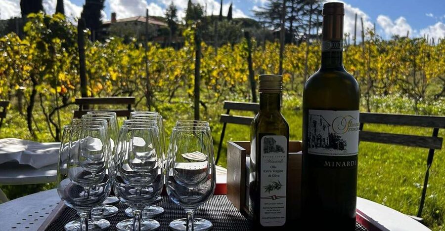 From Rome: Half-Day Frascati Wine Tour with Farmhouse Lunch - A Train Ride Out of Rome to Frascati