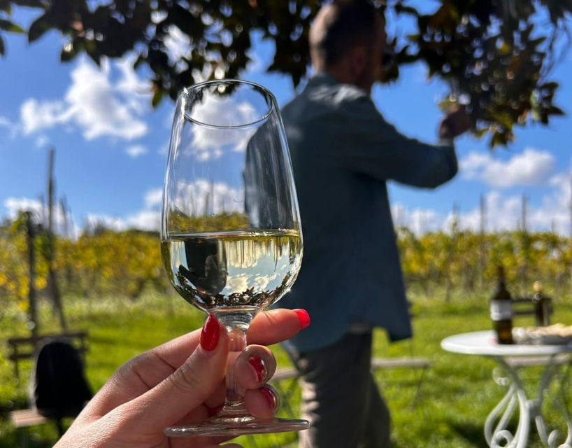 From Rome: Half-Day Frascati Wine Tour with Farmhouse Lunch - Chef Lunch in the Vineyard With Local Specialties