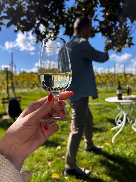 From Rome: Pasta Masterclass & Wine Tour in the Vineyard - Lunch at the farmhouse: eat what you made