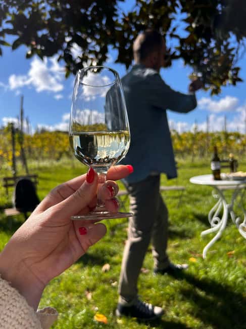 From Rome: Pasta Masterclass & Wine Tour in the Vineyard - Should you book this pasta and wine experience?