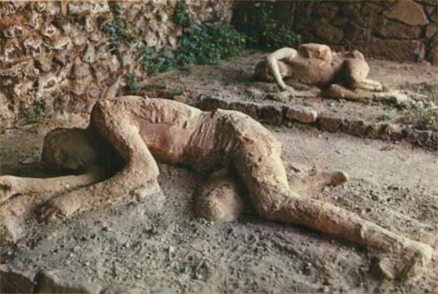 From Rome: Pompeii All-Inclusive Tour with Live Guide - Who should book this Pompeii day trip