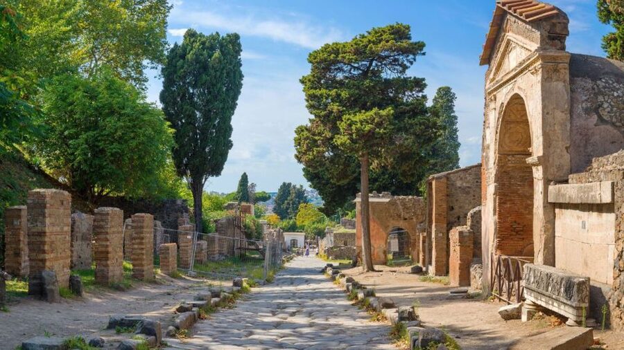 From Rome: Pompeii and Naples Day Trip by High-Speed Train - Neapolitan pizza lunch inside Pompeii, not just a break